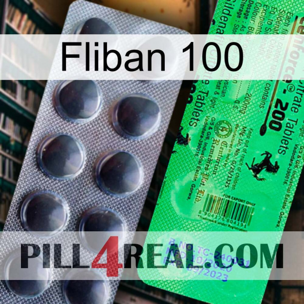 Fliban 100 new04.jpg